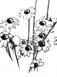 Boceto de arte floral y naturalista n.º 15
