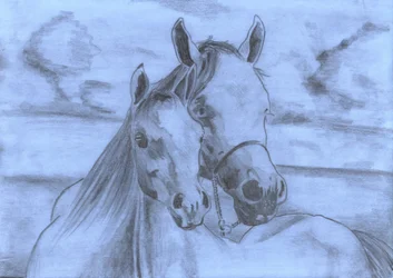 Boceto de «Gentle Horse Bond»
