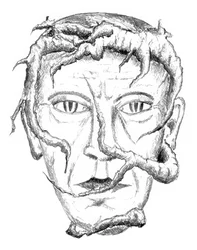 Hombre de raíces góticas