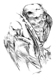 Boceto de unos periquitos enamorados