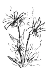 Boceto floral en blanco y negro