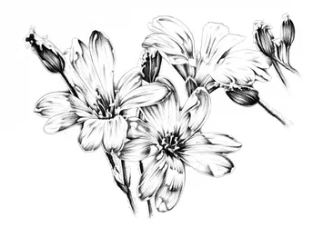 Flores monocromáticas en flor