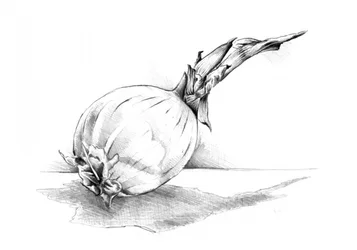 Dibujo de un bodegón con cebollas