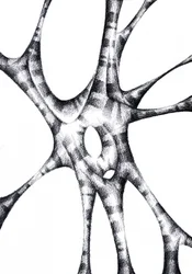 Estructura abstracta orgánica