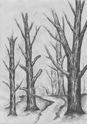 Camino entre árboles desnudos