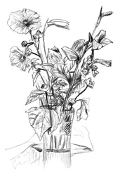 Naturaleza muerta floral a lápiz