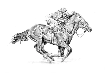 Caballo de carreras y jinete