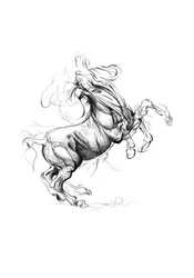 Boceto de un caballo encabritado