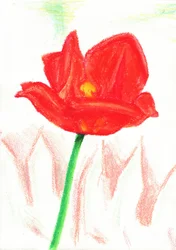 Flor de lápiz de color rojo