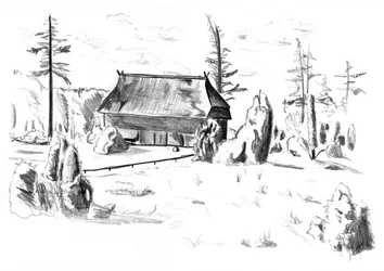 Cabaña rústica en el bosque