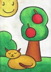 Gato durmiendo en un día soleado