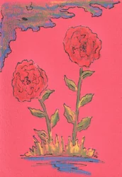 Dos rosas en flor
