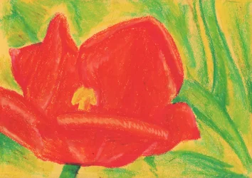Tulipán rojo intenso