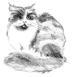 Retrato de un gato peludo y travieso