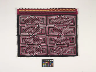 Panel camisero (Mola) (foto)