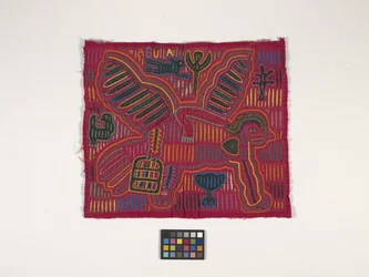 Panel camisero (Mola) (foto)