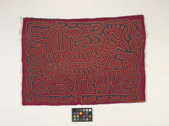 Panel camisero (Mola) (foto)