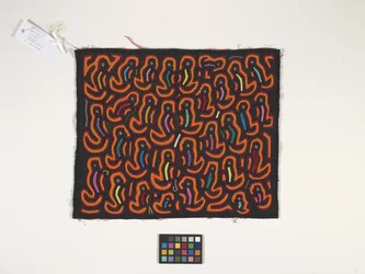 Panel camisero (Mola) (foto)
