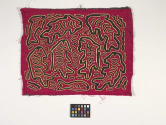 Panel camisero (Mola) (foto)
