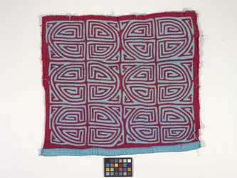 Panel camisero (Mola) (foto)