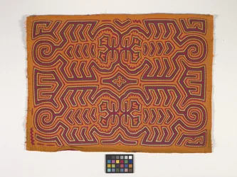 Panel camisero (Mola) (foto)