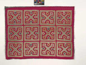 Panel camisero (Mola) (foto)