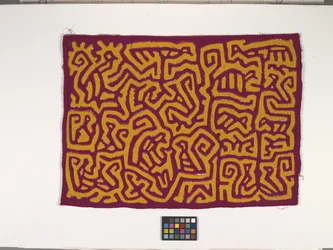 Panel camisero (Mola) (foto)