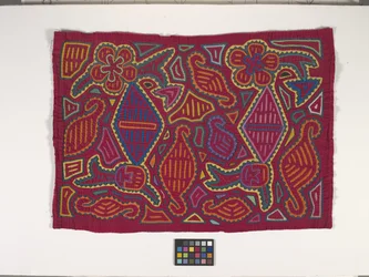 Panel camisero (Mola) (foto)