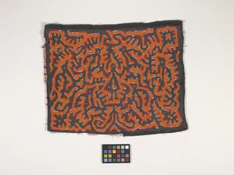 Panel camisero (Mola) (foto)