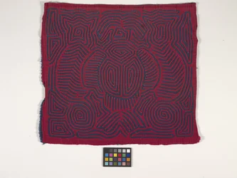 Panel camisero (Mola) (foto)