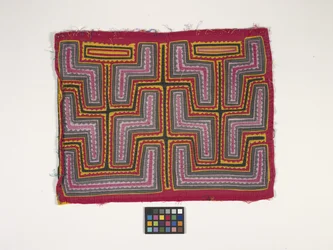 Panel camisero (Mola) (foto)