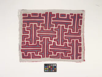 Panel camisero (Mola) (foto)