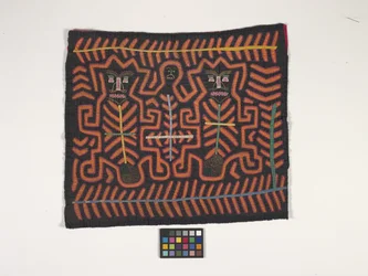 Panel camisero (Mola) (foto)