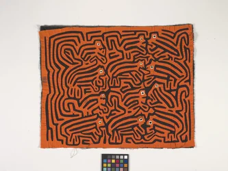 Panel camisero (Mola) (foto)