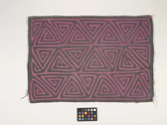 Panel camisero (Mola) (foto)