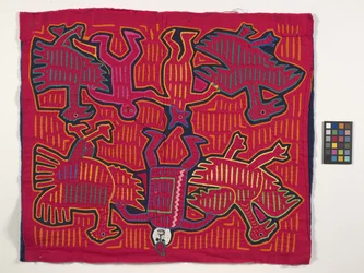 Panel camisero (Mola) (foto)