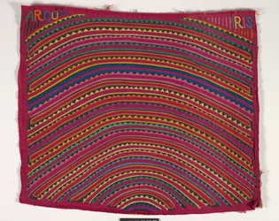 Panel de camisa (mola) (algodón aplicado)