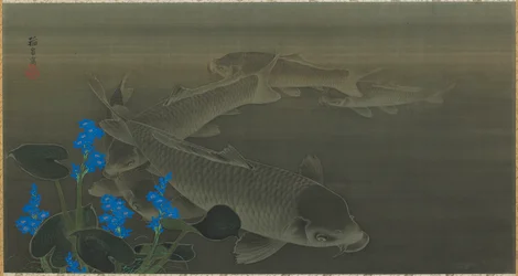Carpa, período Edo, principios del siglo XIX