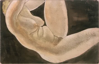 Desnudo femenino con pierna levantada