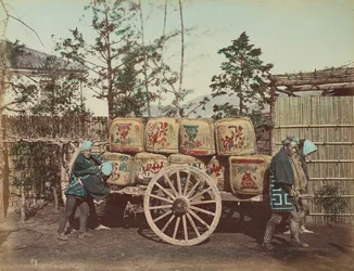 Carro de carga
