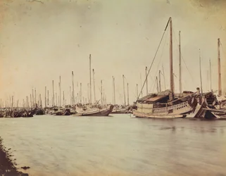 Juncos japoneses, Nagasaki