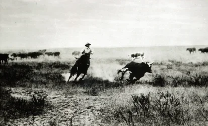 Vaquero a caballo lazando un ternero