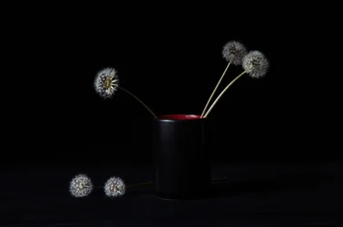 Jarrón «Dandelions» elegante