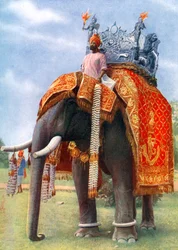 Un majestuoso elefante en la principal festividad de Bengala, India, 1922