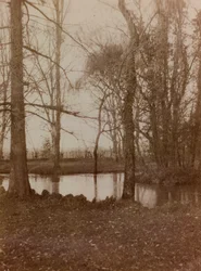 Álbum de la Primera Guerra Mundial en Friuli-Venecia Julia: el estanque en el parque de Villa Brazza, Hospital de guerra n. 17, Soleschiano Manzano