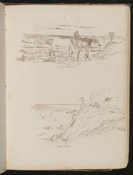 Estudio de dos caballos en paisaje, estudio de escena costera y acantilado
