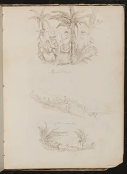 Tres estudios de hombres y mujeres