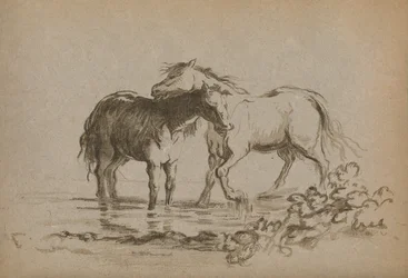 Caballos