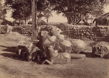 Toros o nadias con tallas ornamentales Vista lateral, Warangal, Hyderabad, Decán