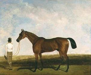 Un mozo de cuadra guiando un caballo de carreras bayo
